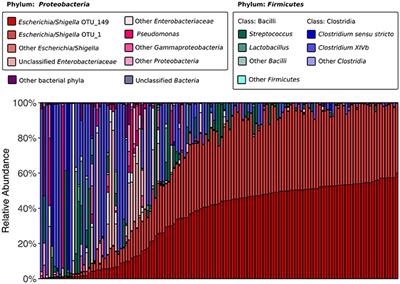 The Low-Diversity Fecal Microbiota of the Critically Endangered Kākāpō Is Robust to Anthropogenic Dietary and Geographic Influences